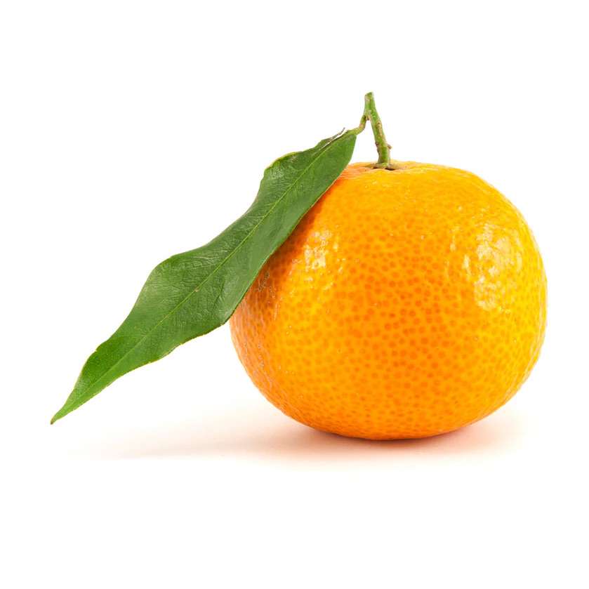karchery4's  profile picture