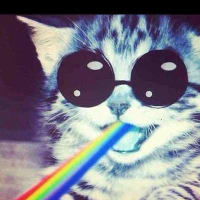 jotchumf's  profile picture