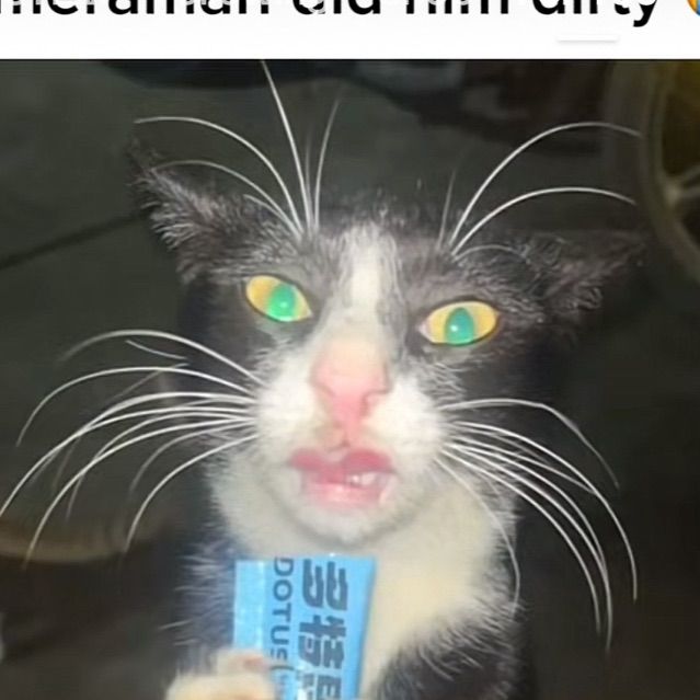 cheey19's  profile picture