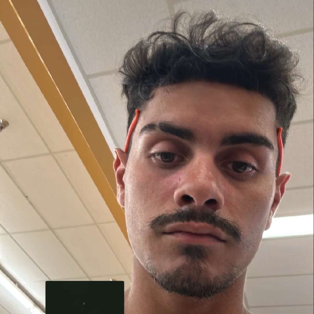 Hamburger_ham's  profile picture