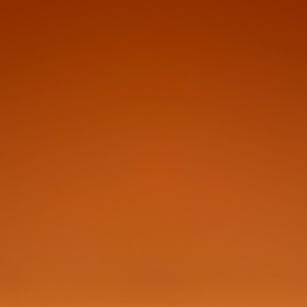 damarlipatlican's  profile picture