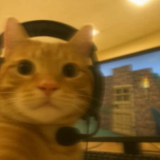 1green2bean3's profile picture