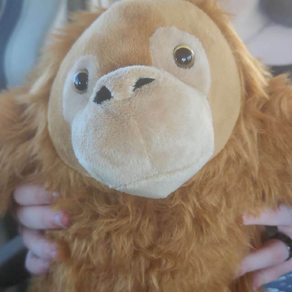 noodlesforlifeyoo's  profile picture