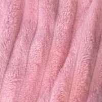 nyola4567's profile photo