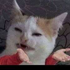 fminus189's  profile picture