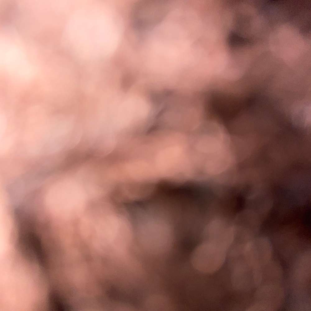 kdlsjsh's profile photo