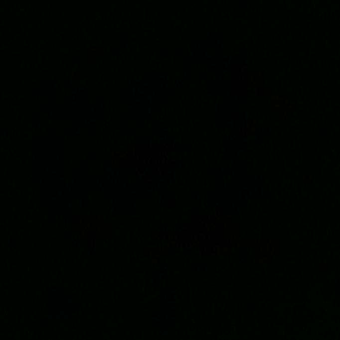 ollipss's  profile picture