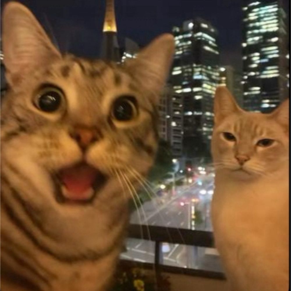 breekisneeki's  profile picture