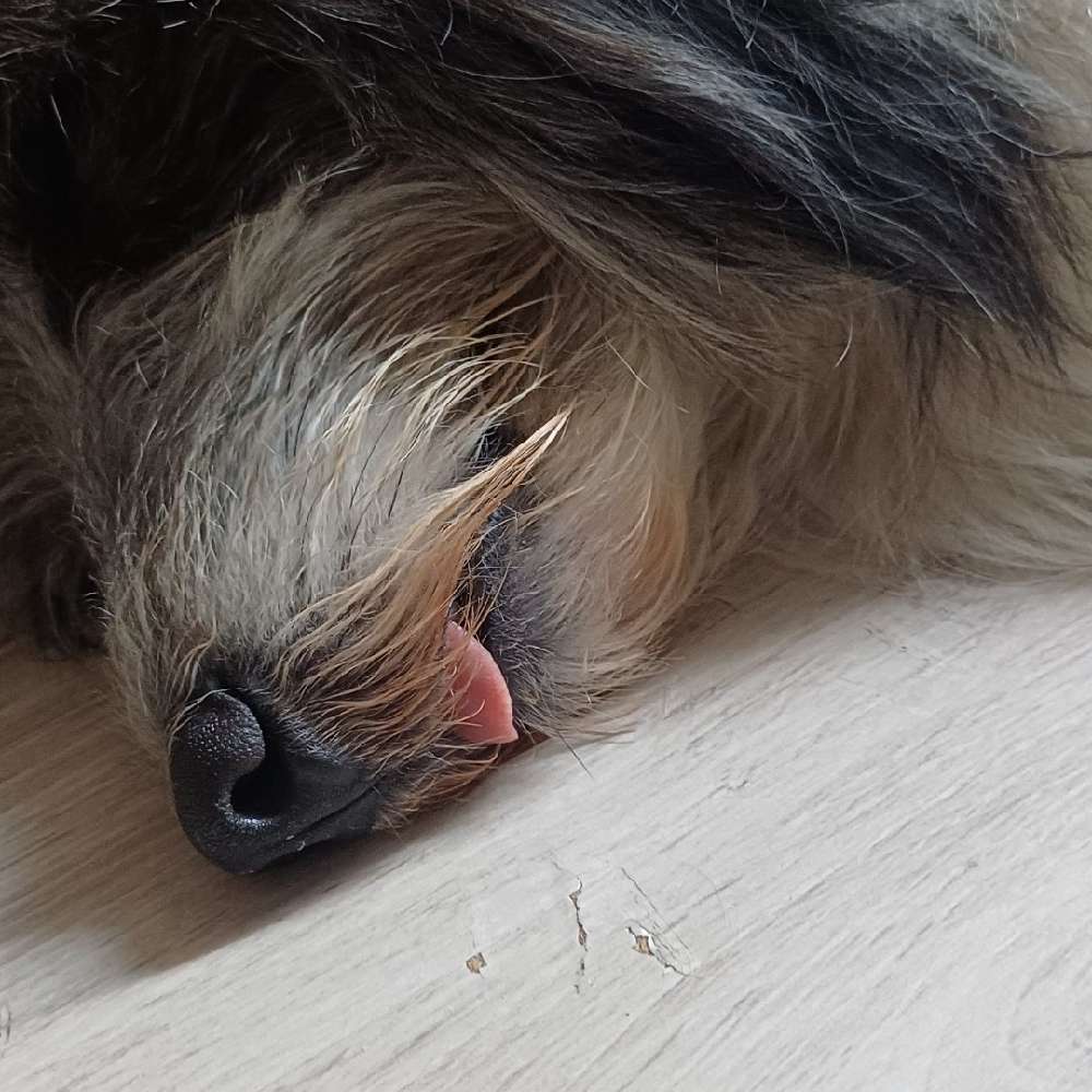 claudiathe.best's profile photo