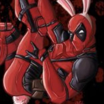Staavve2's profile picture