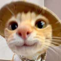 eeeweenx's  profile picture