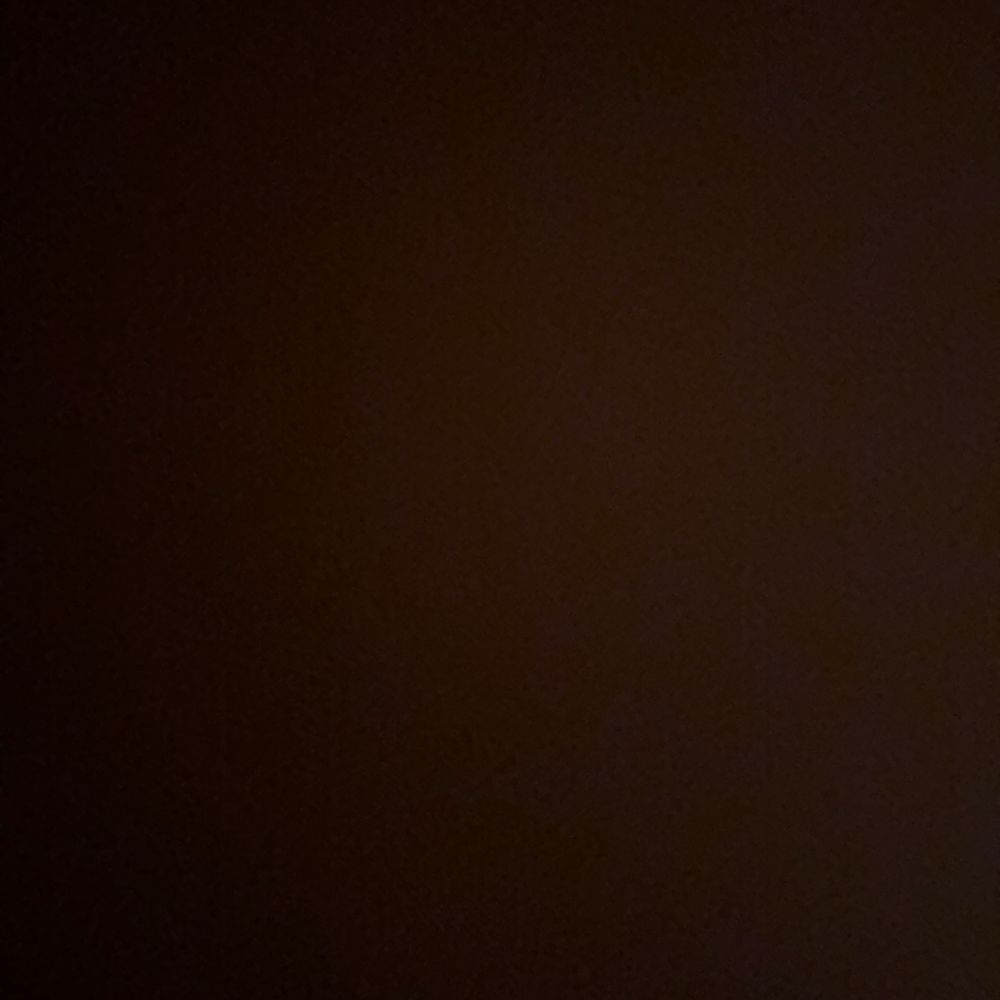 nicoleferrrr's  profile picture