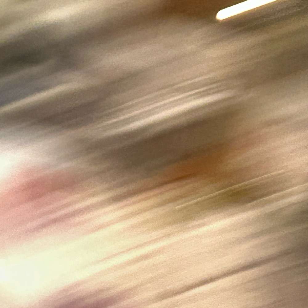 Svenshows's  profile picture