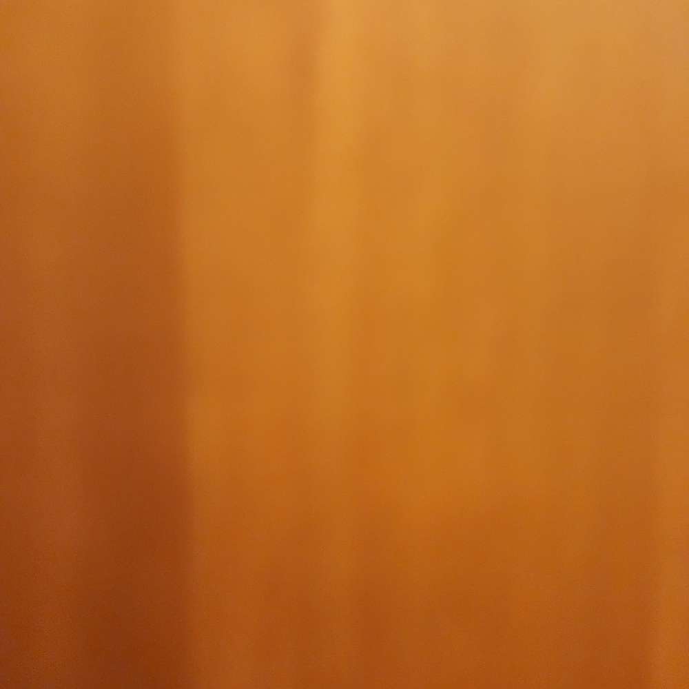 fireybee's  profile picture