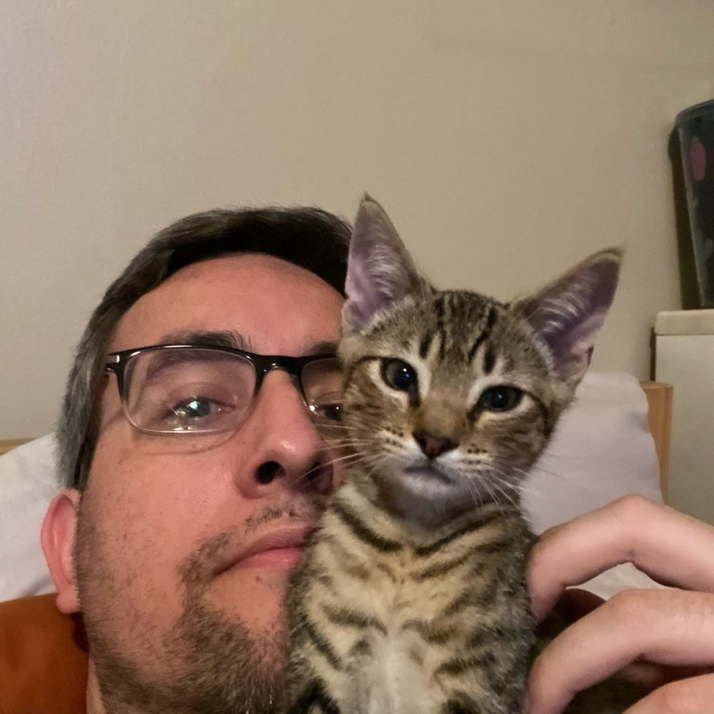 jwells2024's  profile picture