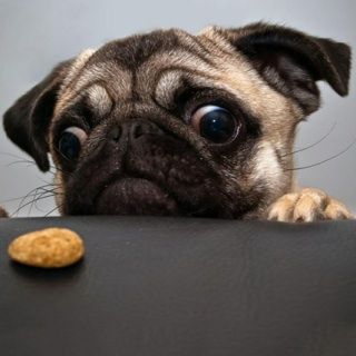 CrazyLeon's  profile picture
