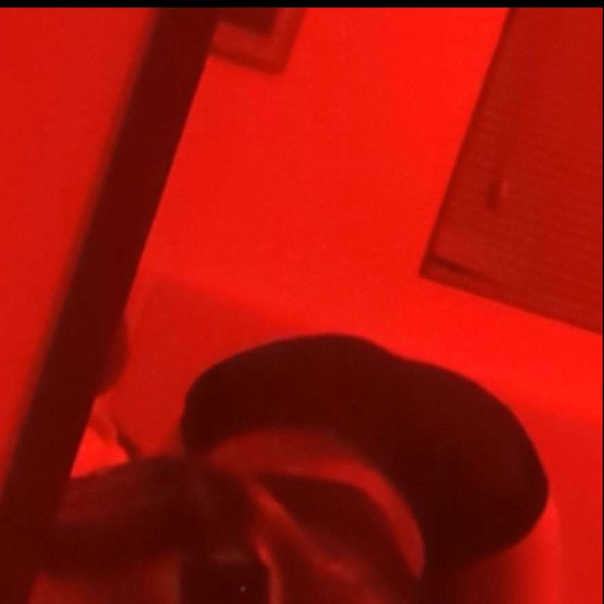 bigboi694209's  profile picture