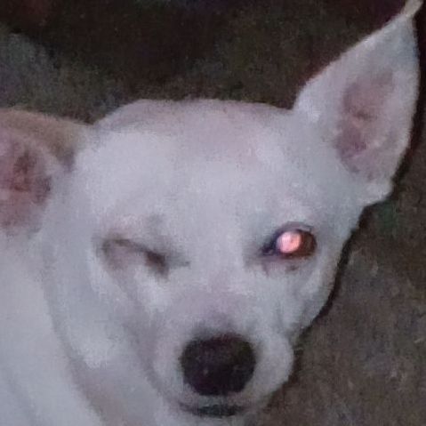 Samuelburton032's  profile picture