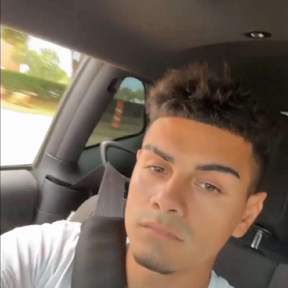 dog_enjoyer719's  profile picture