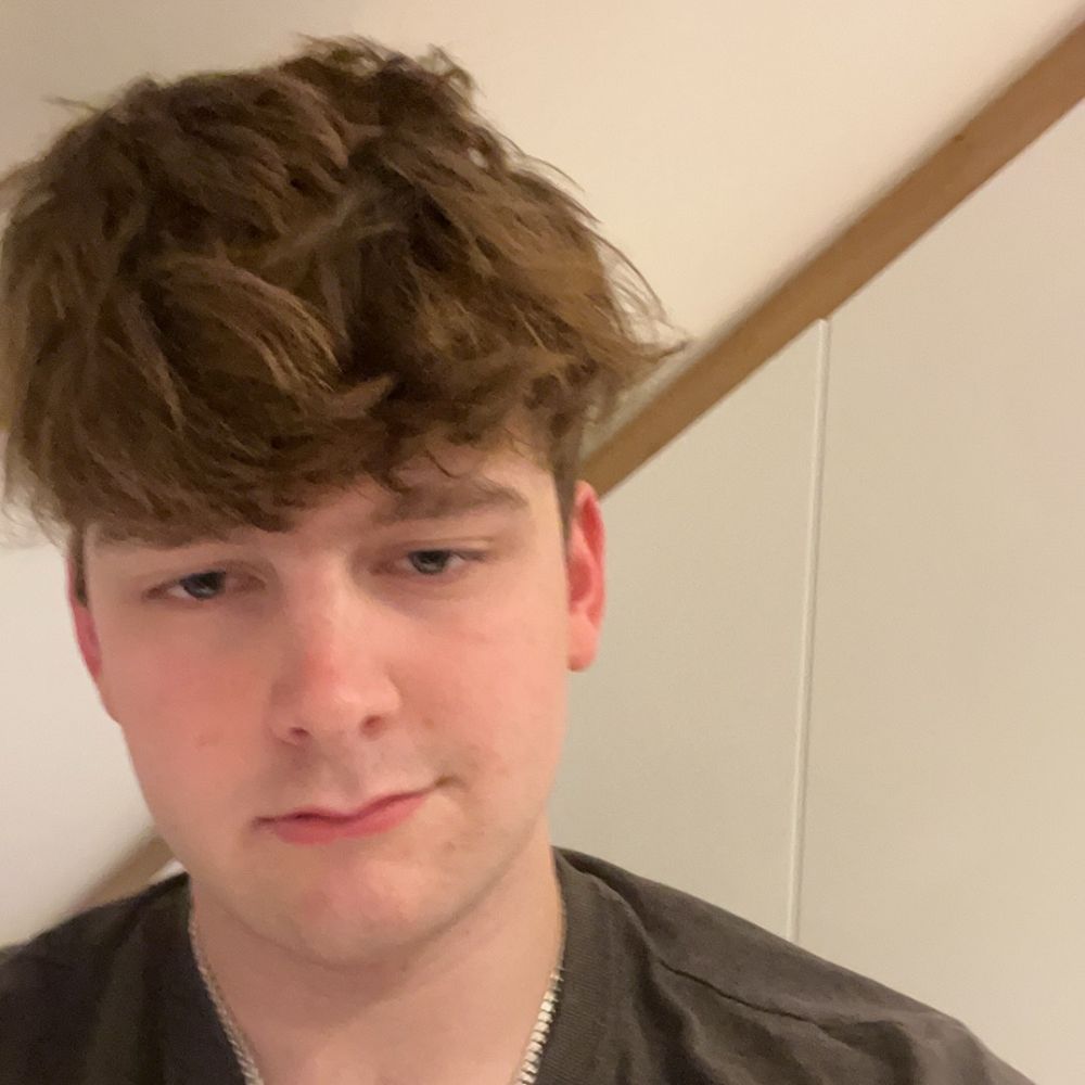 shygnar's  profile picture