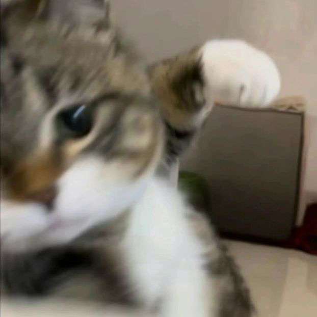 LumiSnowsno's  profile picture