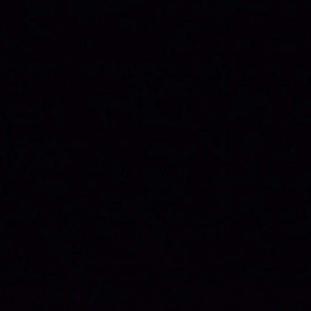 Steefsteef2026's profile photo