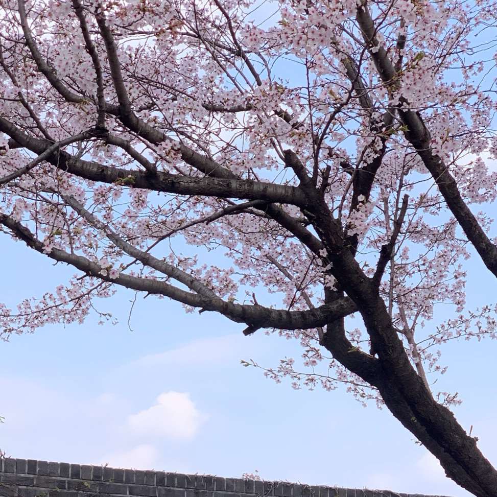 loveyves's profile photo