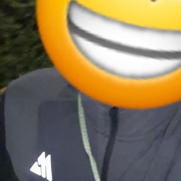 CapyTree's  profile picture