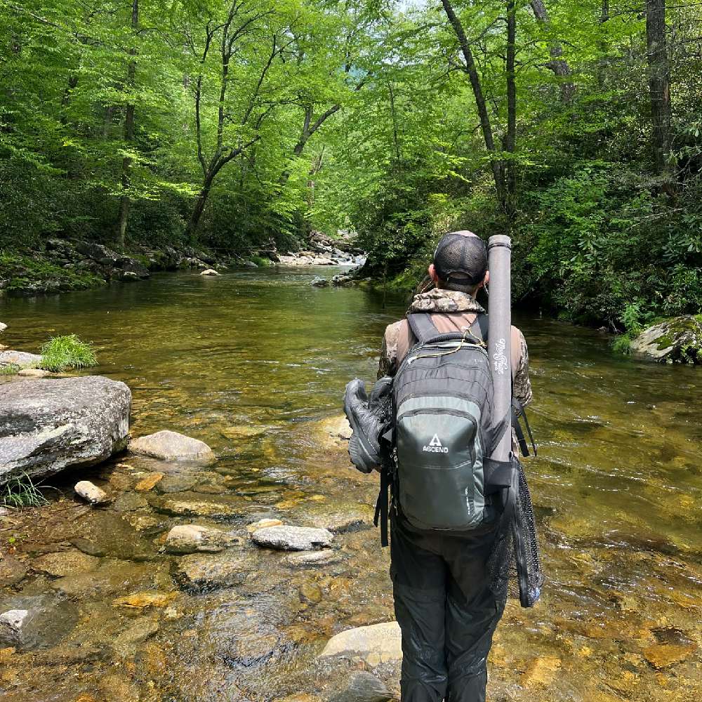 ipl112233's profile picture