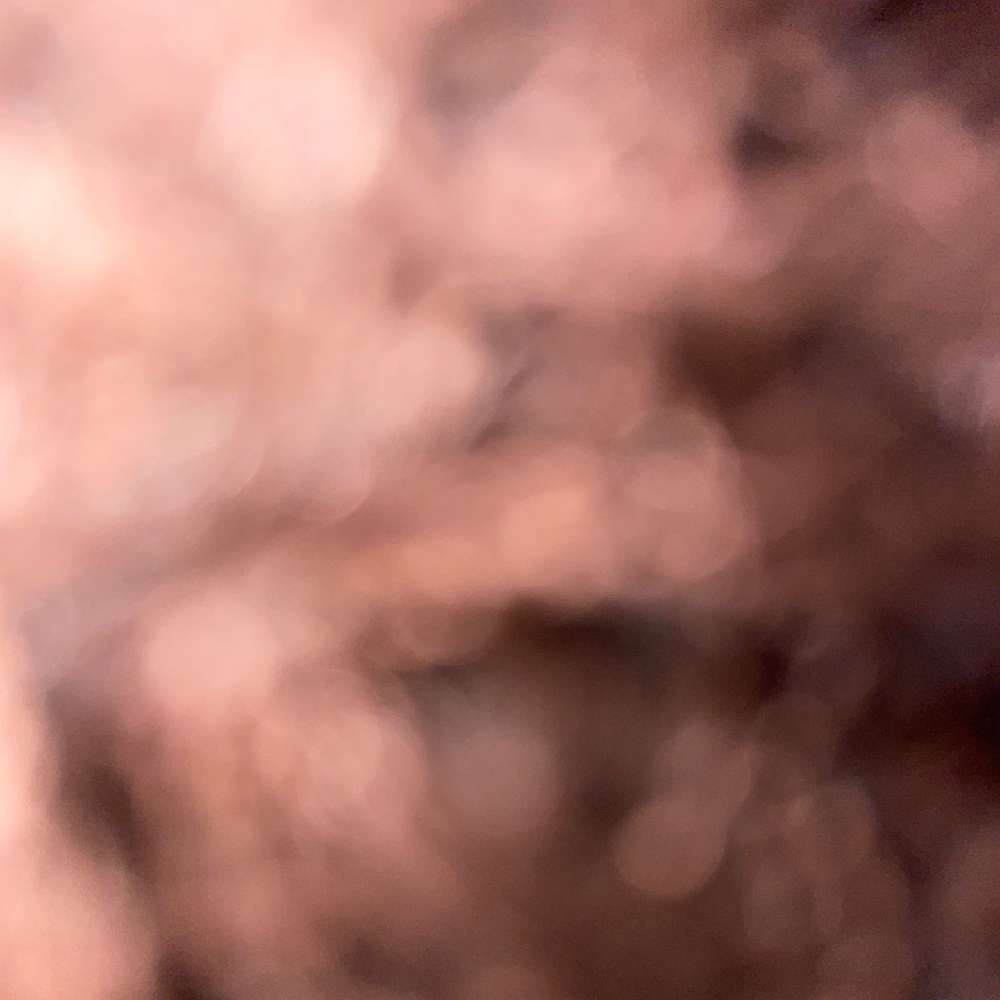 dkepeou's profile photo