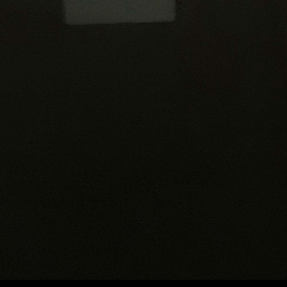 vegsofia's profile photo