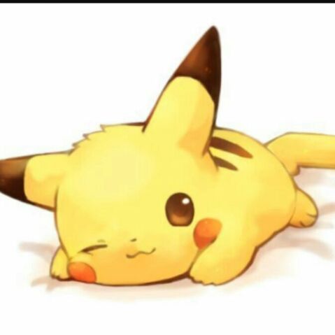 ash10844's  profile picture