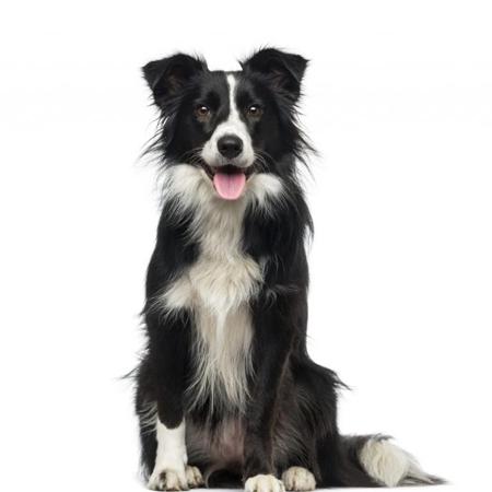 HansPeterBer's  profile picture