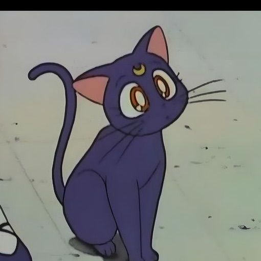 kittsyyy's  profile picture