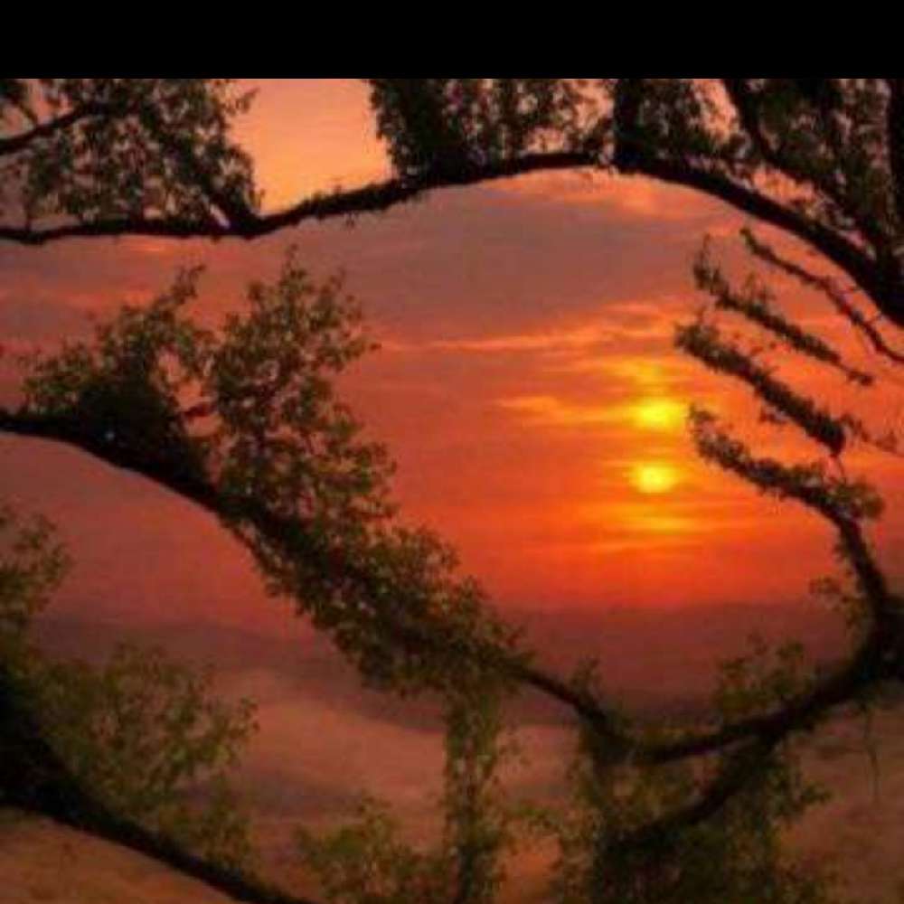 Lisajones28xo's  profile picture