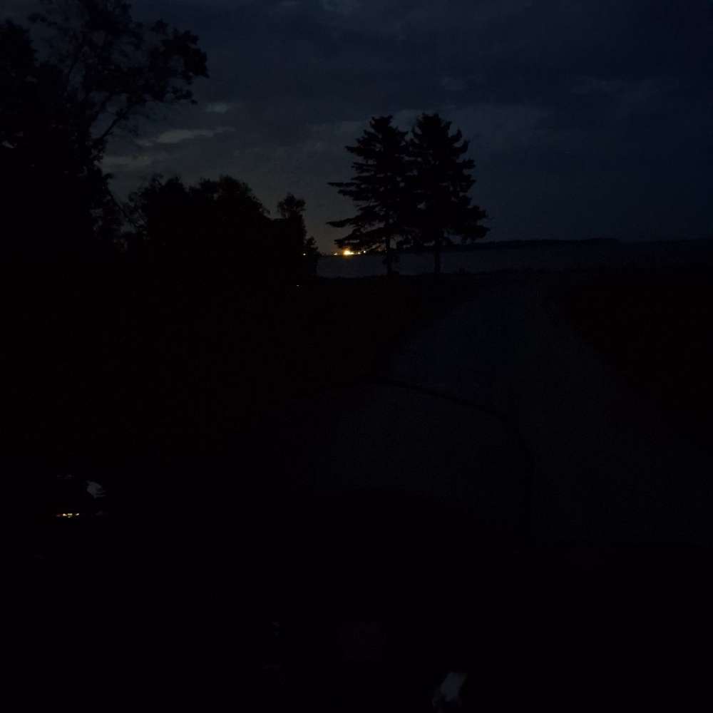 You_sl29's profile photo