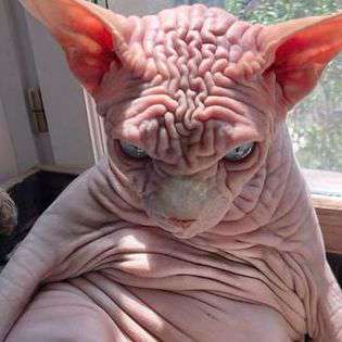 miike_6's  profile picture