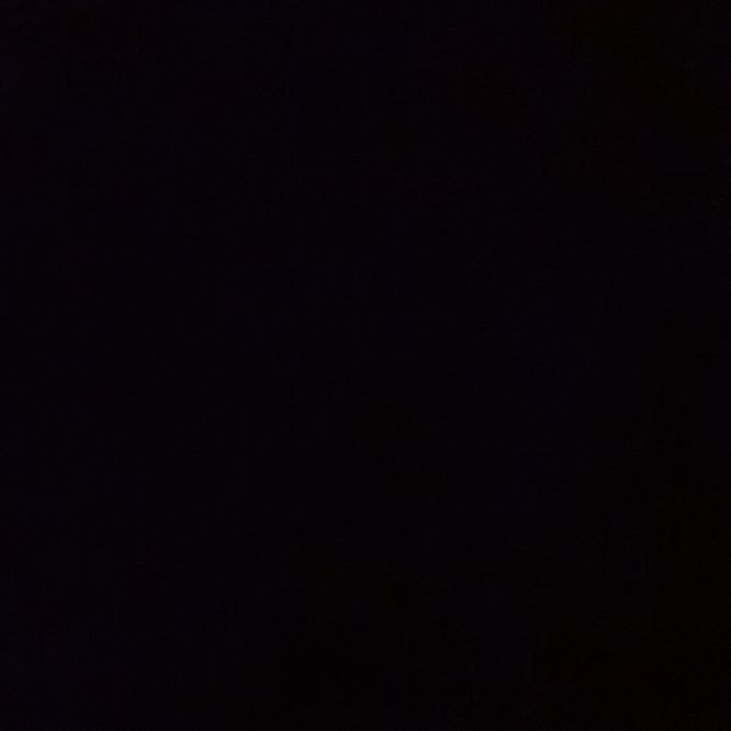 Willow5151's  profile picture