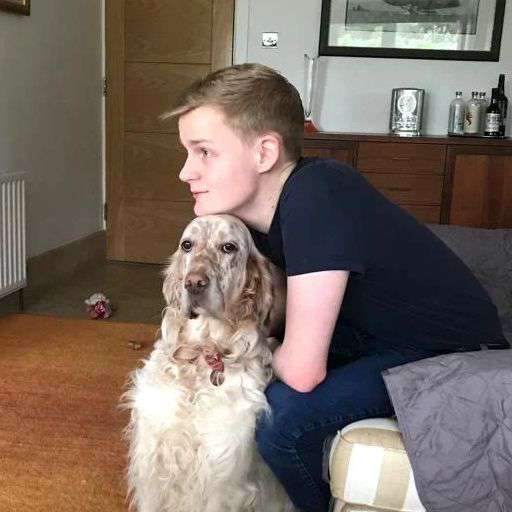 Calciphir's  profile picture