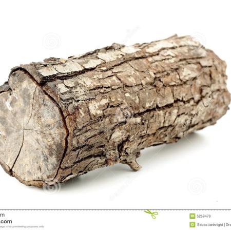 Groot's  profile picture