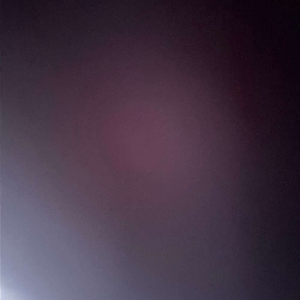 nooneloldw's profile picture