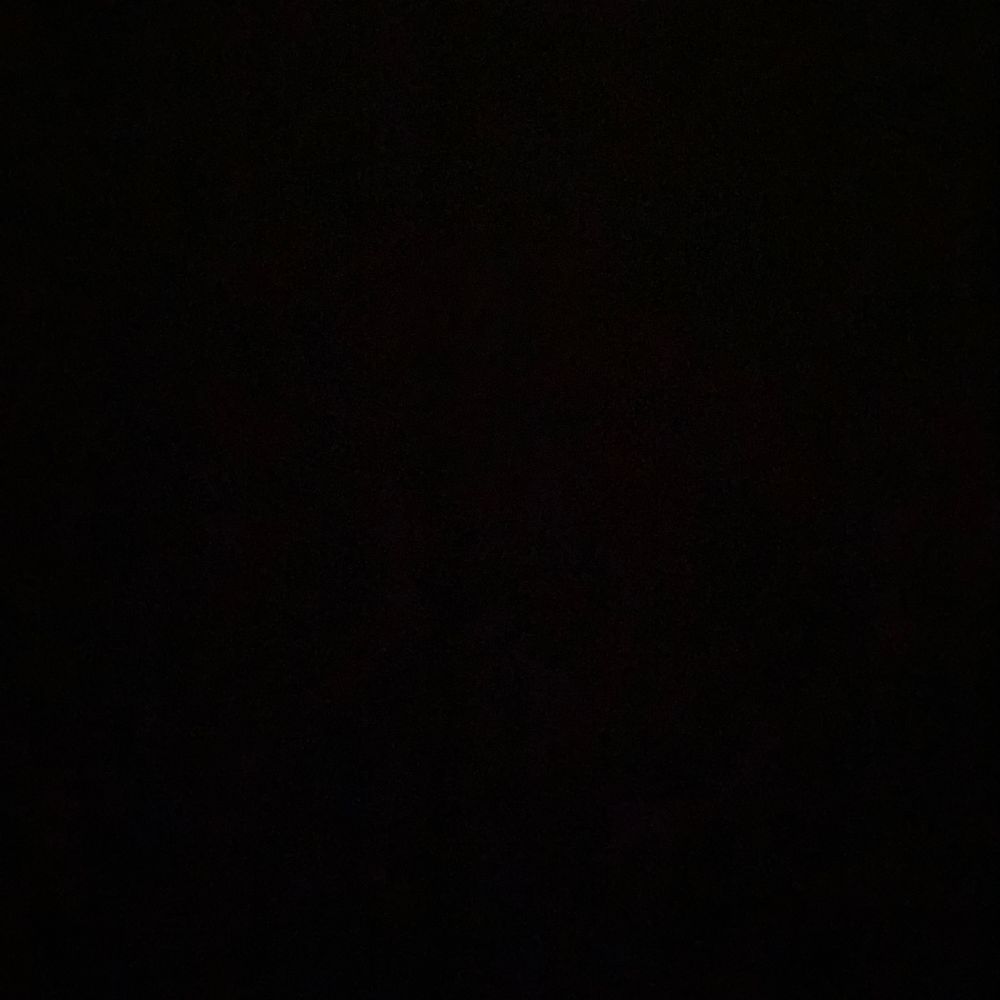 Nikkit888's  profile picture