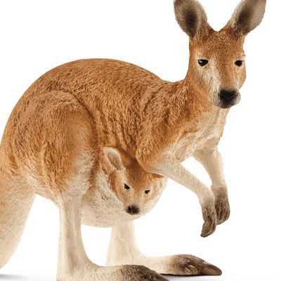 Kangu3242's  profile picture
