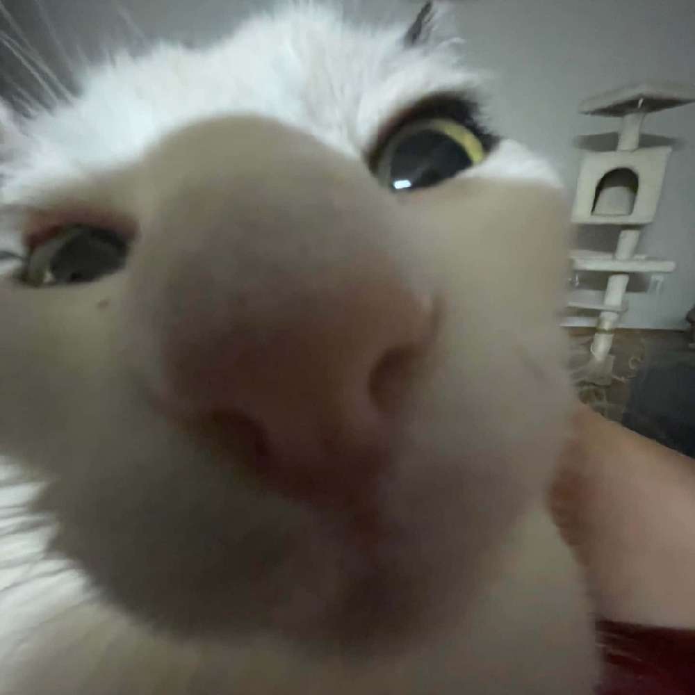 thehesyep's profile photo
