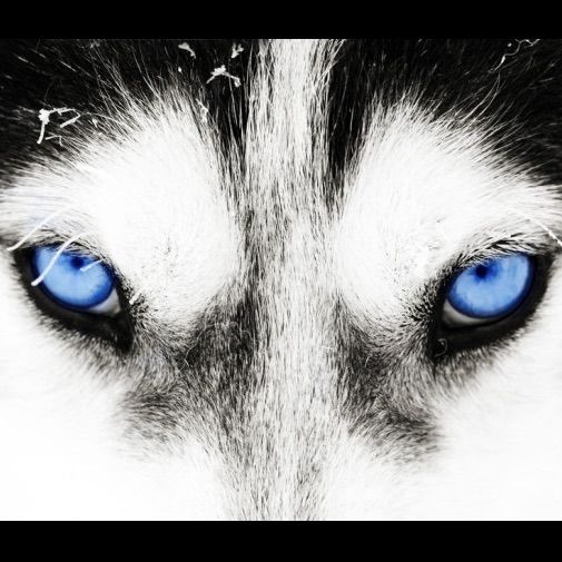Troyriv69's profile picture