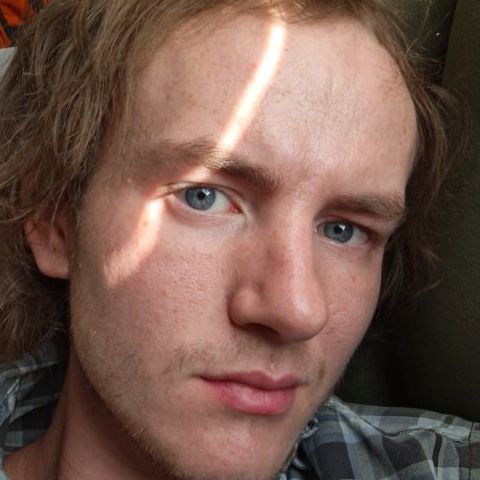 Boxer743's profile photo