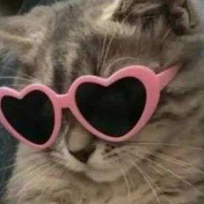 huntingapples's  profile picture