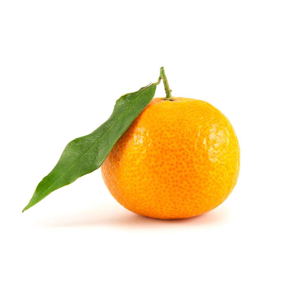 kkarchery's  profile picture