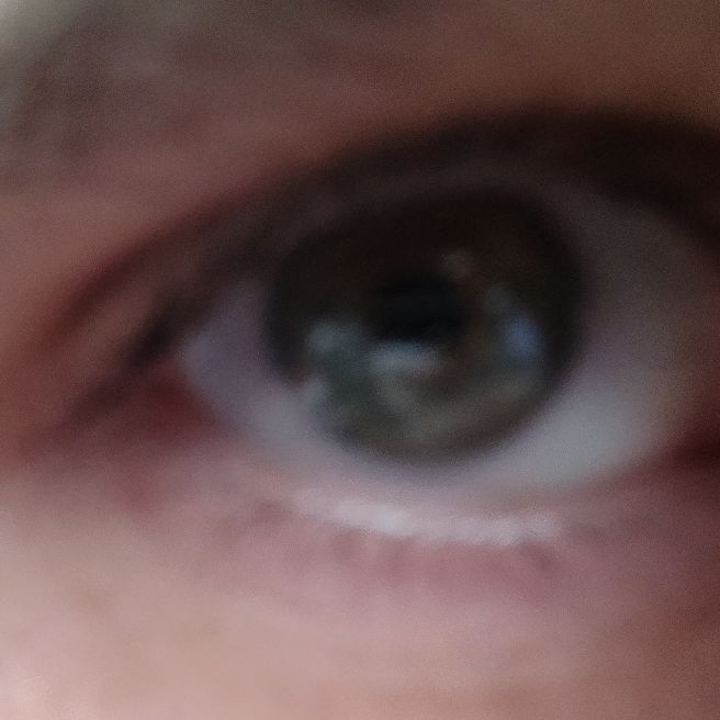 AbstractSprout's  profile picture