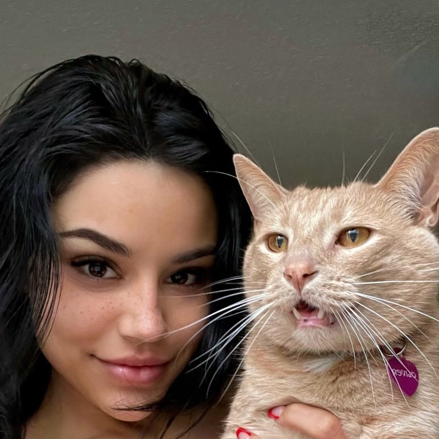 Gestr13's  profile picture